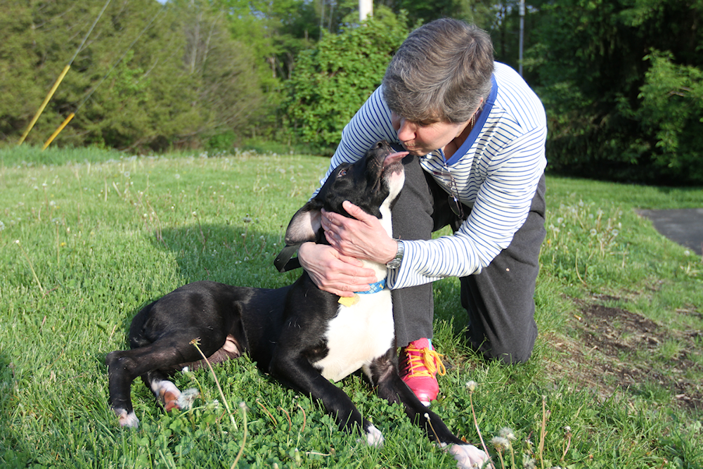 ADOPTED! Sammy – Now Gunther – Finds Love in Spring Fling after a Long ...